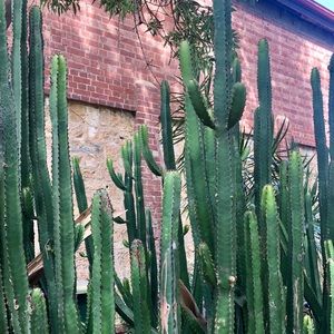 Meet your Posher, Eva